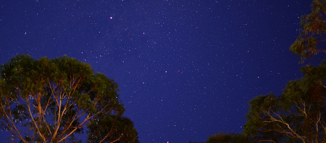 The night sky